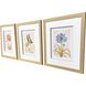 Nature's Wonder Yellow and Multi and Beige Framed Art, Propac