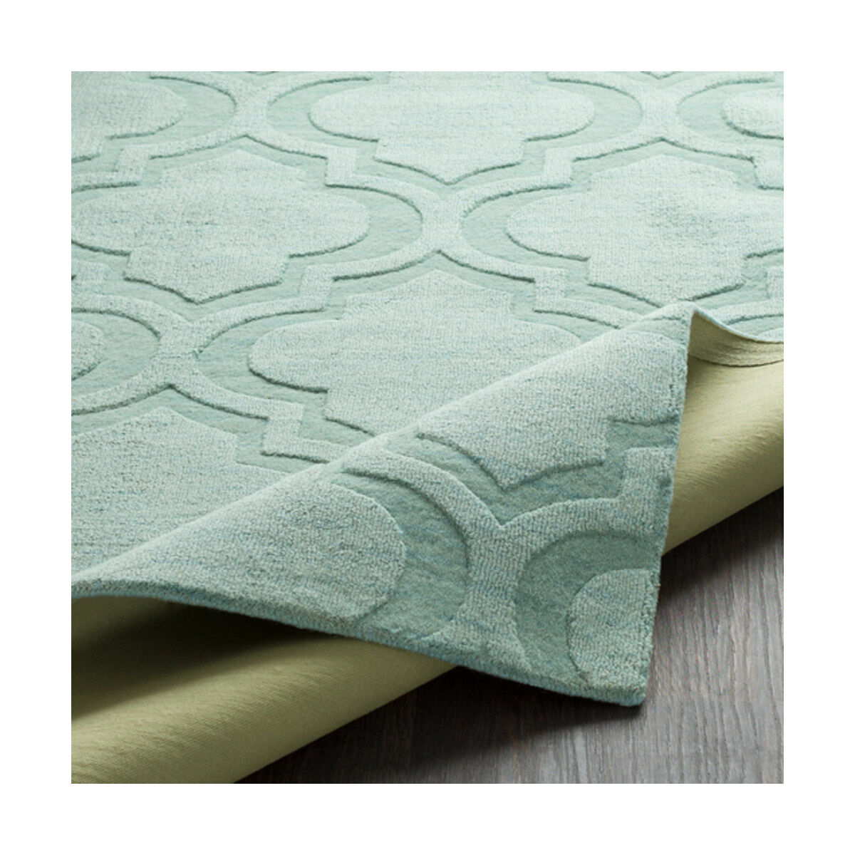 Central Park 120 X 27 inch Mint Indoor Runner, Runner