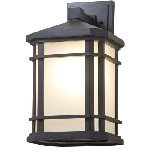 Cardiff 1 Light 15.75 inch Black Outdoor Sconce