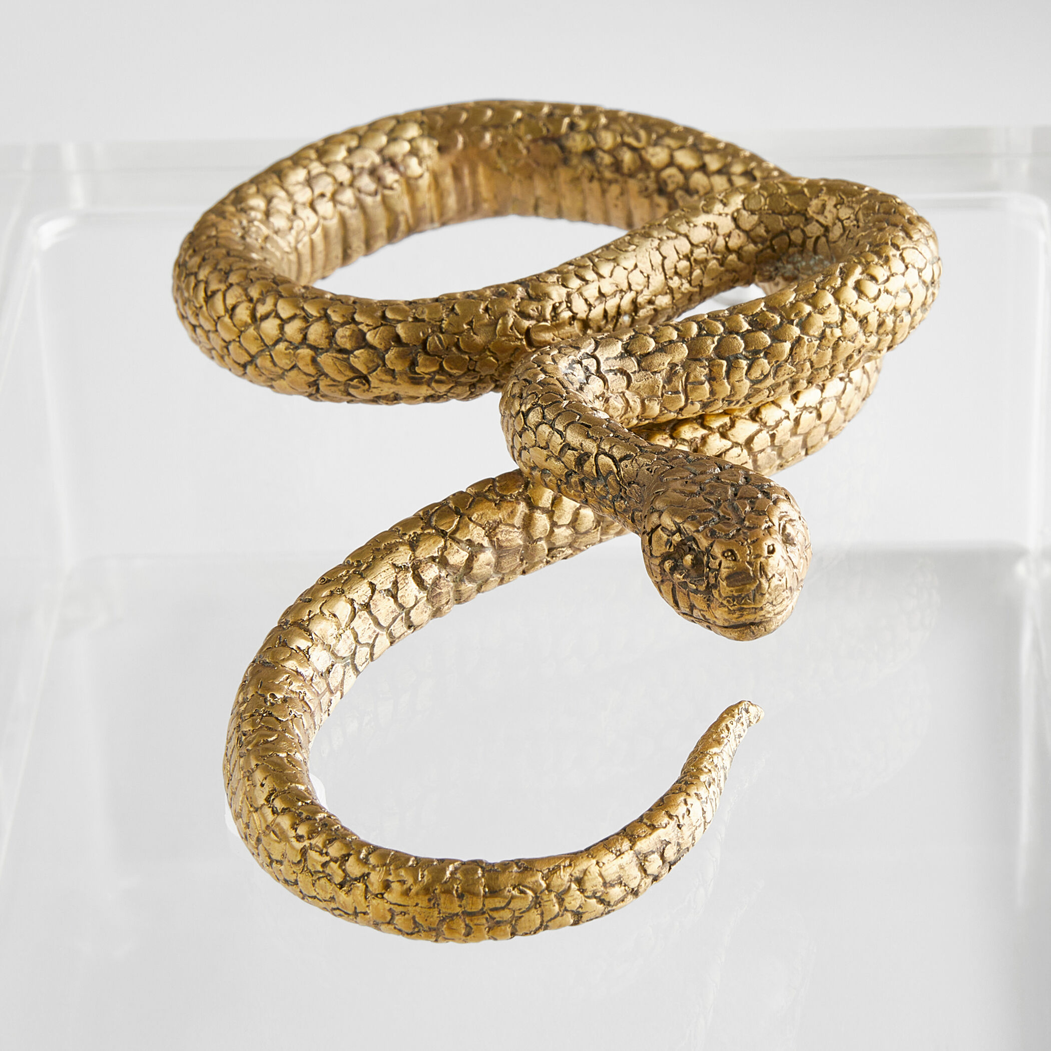 Snake 8.25 X 7 inch Clear and Brass Box
