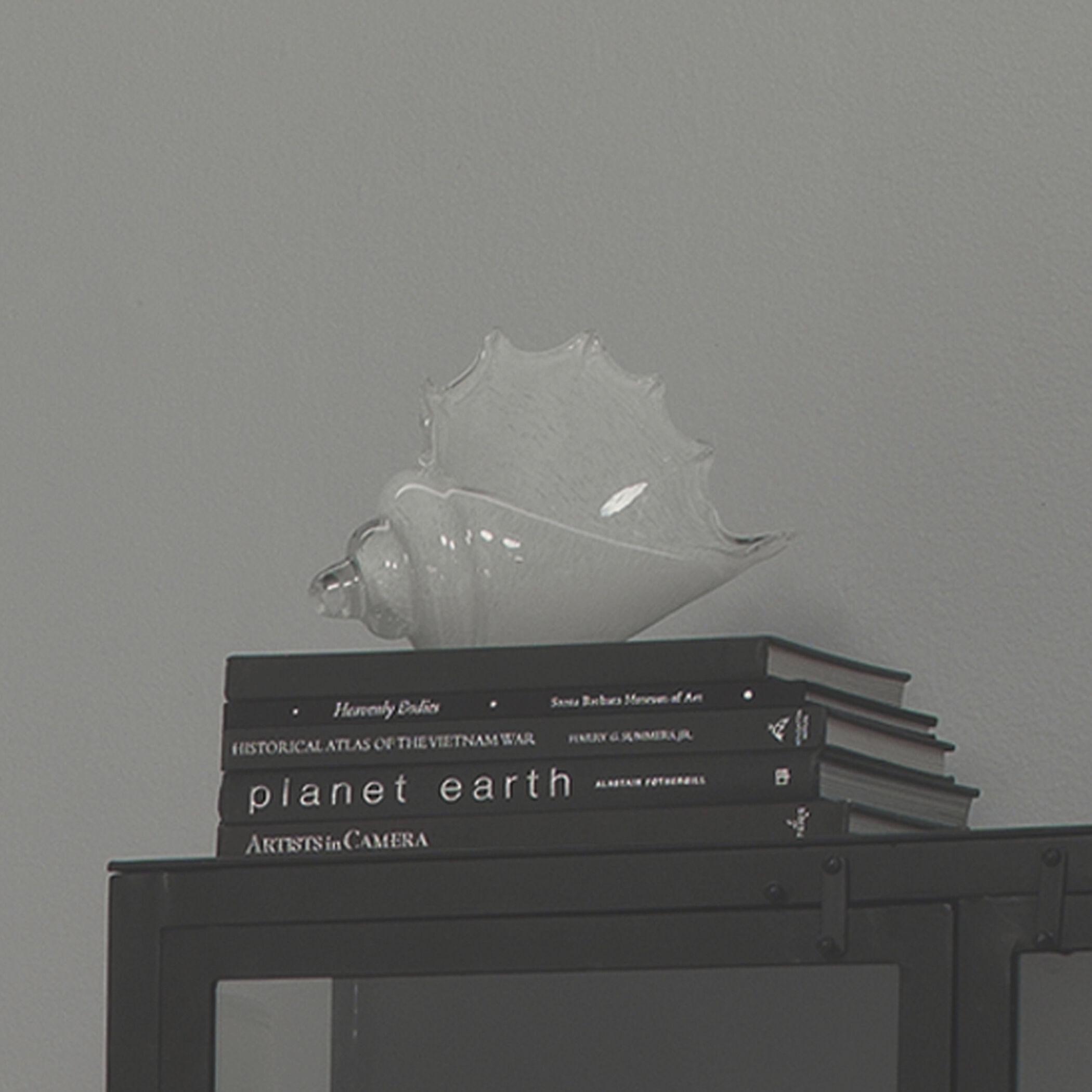 Triton White Blown Glass Shell