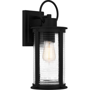 Tilmore 1 Light 6.5 inch Matte Black Outdoor Lantern, Medium