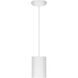 Pilson LED 5 inch Matte White Pendant Ceiling Light