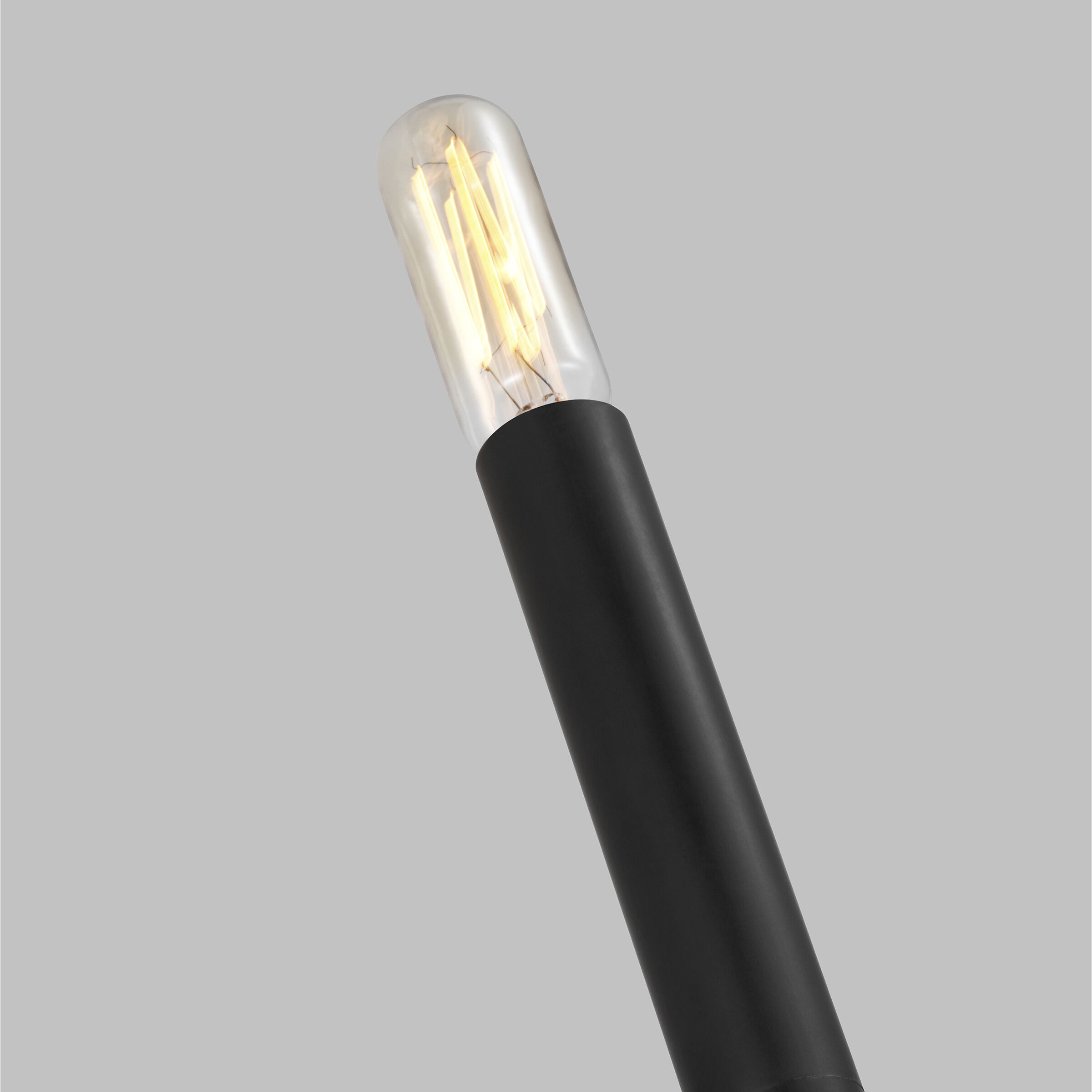 ED Ellen DeGeneres Brianna 1 Light 4 inch Aged Iron Tail Sconce Wall Light