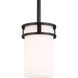 Robie 1 Light 4.38 inch Midnight Black Mini-Pendant Ceiling Light