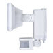 Outdoor Security White Outdoor Motion Sensor