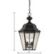 Cotswold 4 Light 13 inch Oil Rubbed Bronze Outdoor Pendant