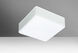 Geo 11 2 Light 11 inch Flush Mount Ceiling Light in Incandescent