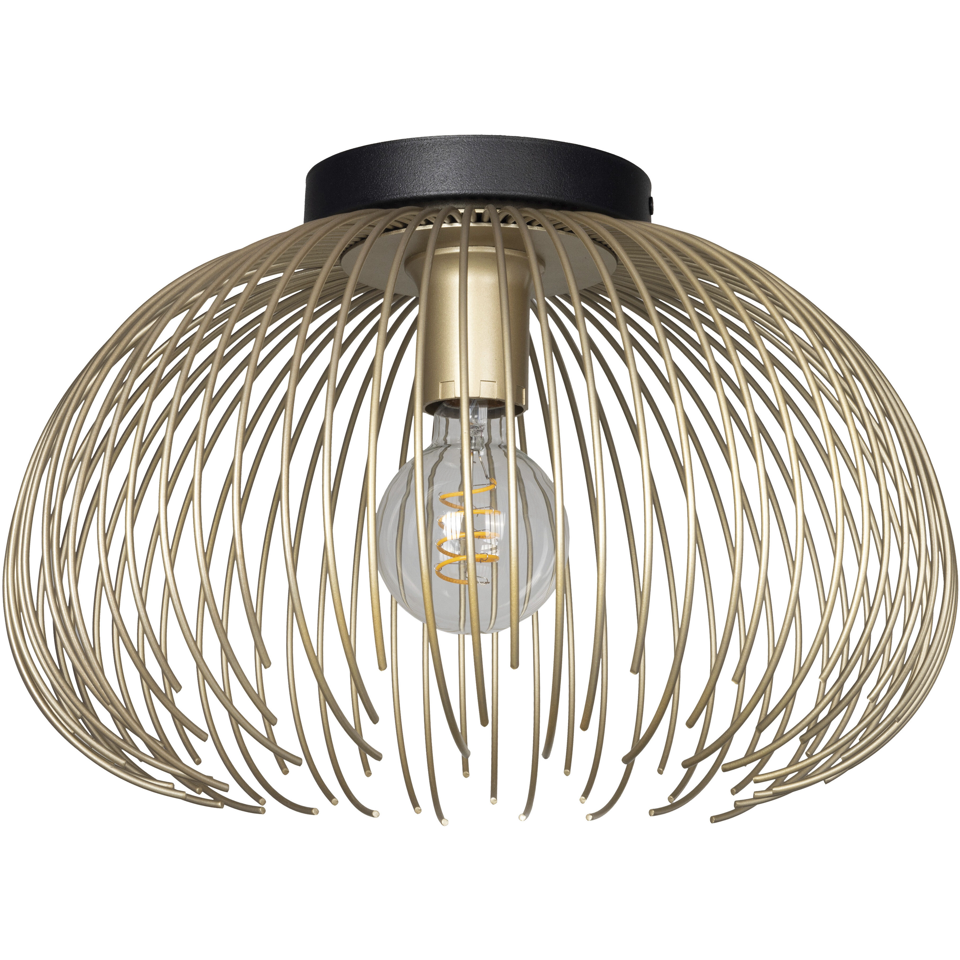 Venezuela 1 Light 15.16 inch Gold and Black Convertible Pendant Ceiling Light