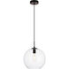 Placido 1 Light 12 inch Black and Clear Pendant Ceiling Light