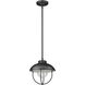 Ansel 1 Light 11 inch Black Outdoor Pendant