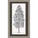 Landscapes Collection Brown Framed Art