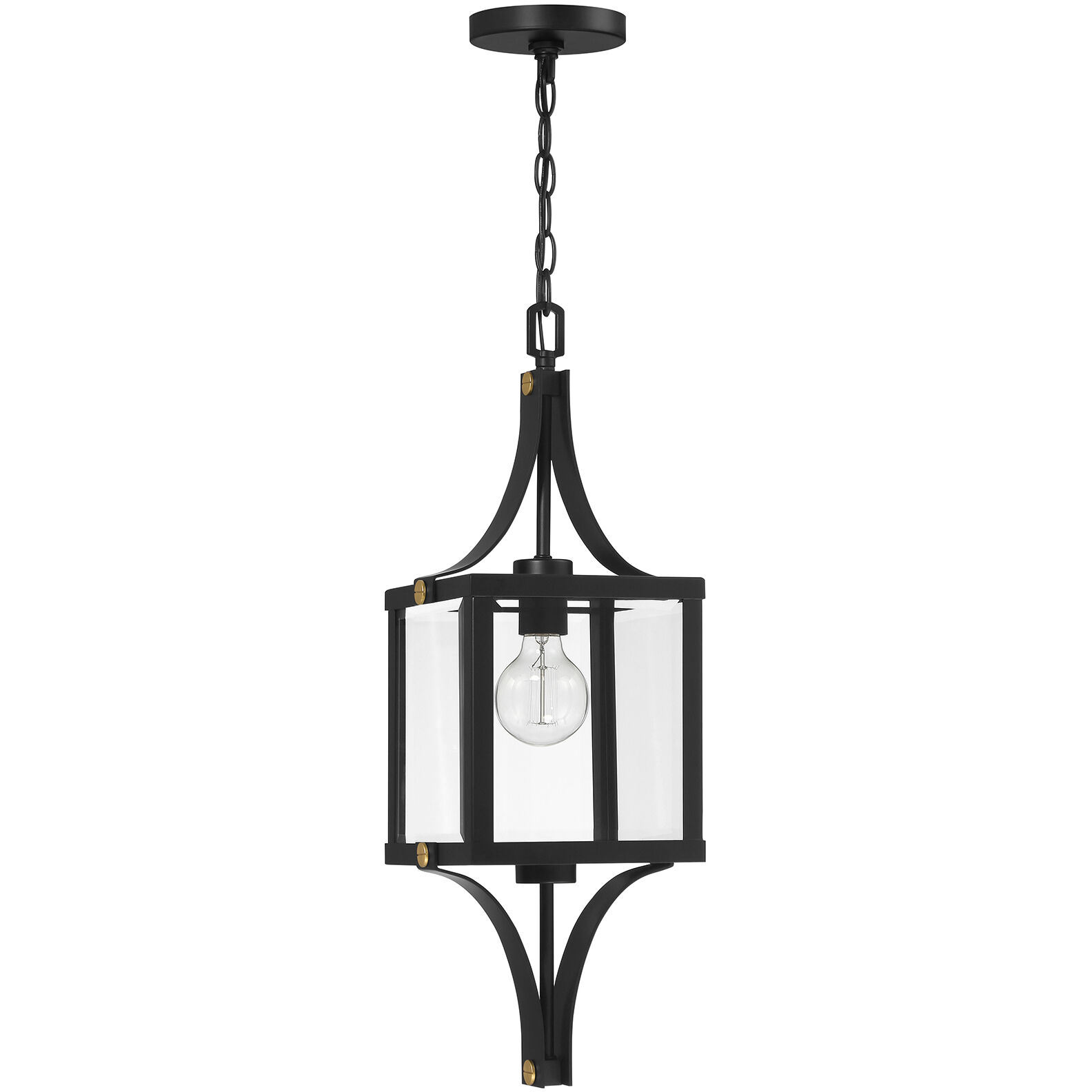 Raeburn 1 Light 8.5 inch Matte Black with Burnished Brass Accents Outdoor Hanging Lantern