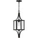 Raeburn 1 Light 8.5 inch Matte Black with Burnished Brass Accents Outdoor Hanging Lantern