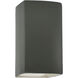 Ambiance Collection LED 13.5 inch Pewter Green Outdoor Wall Sconce