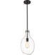 Salem LED 8.5 inch Matte Black Mini Pendant Ceiling Light in Clear Glass