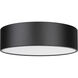 Harley 4 Light 20 inch Matte Black Flush Mount Ceiling Light