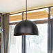 Henlee 1 Light 15.75 inch Black Pendant Ceiling Light
