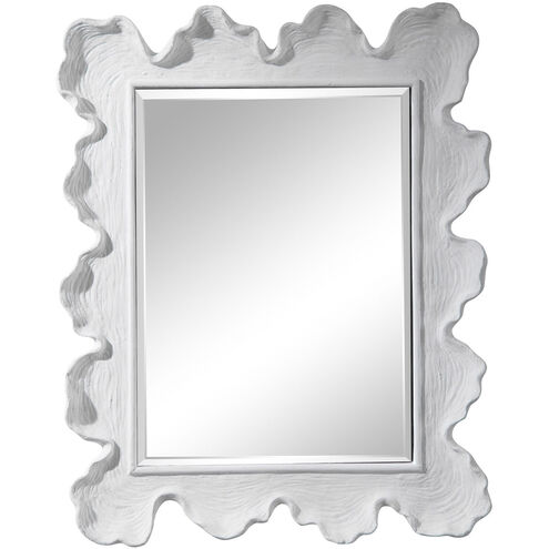 Sea Coral 34.25 X 27.13 inch Wall Mirror, Coastal