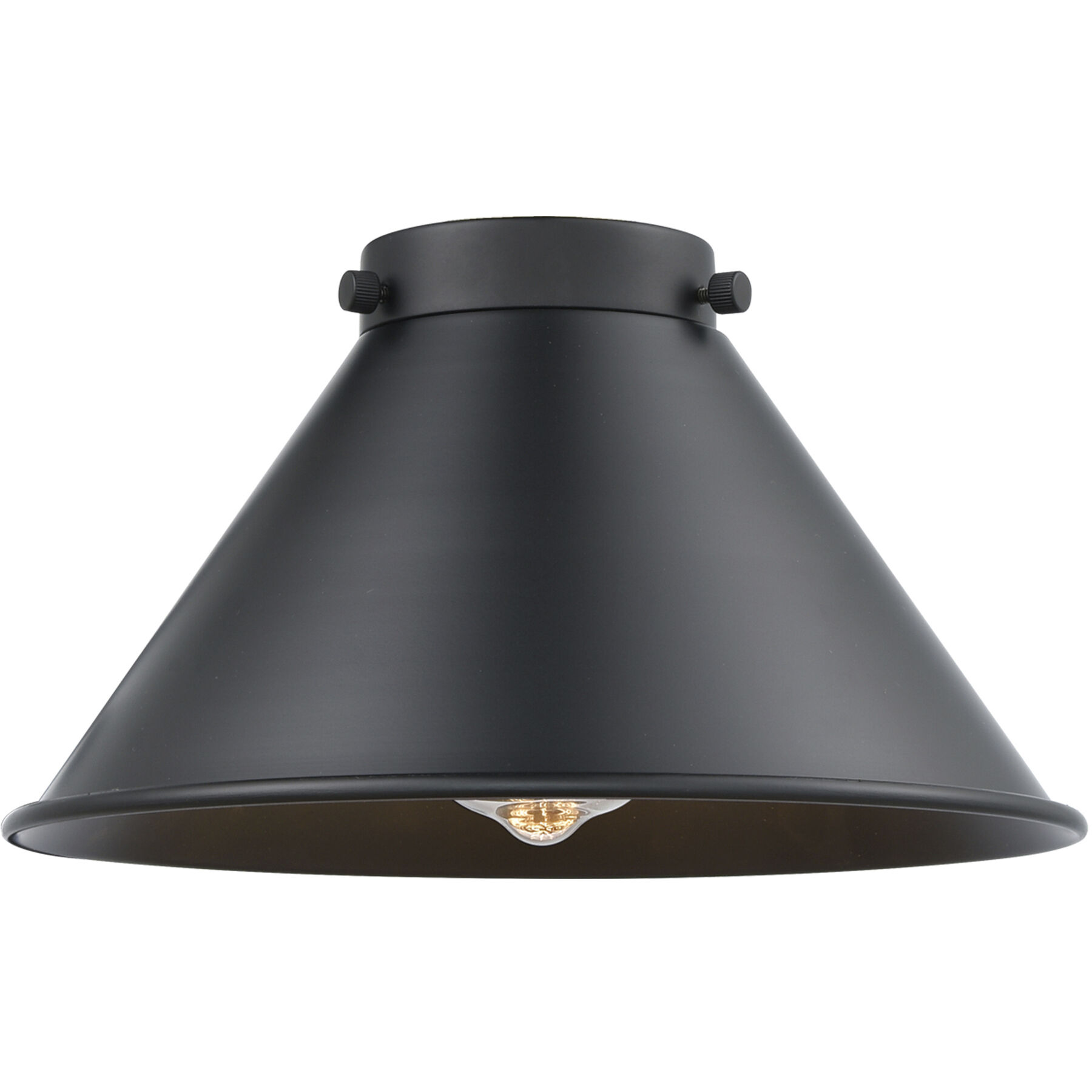 Franklin Restoration Briarcliff 1 Light 10 inch Black Antique Brass Mini Pendant Ceiling Light in Incandescent, Matte Black, Franklin Restoration