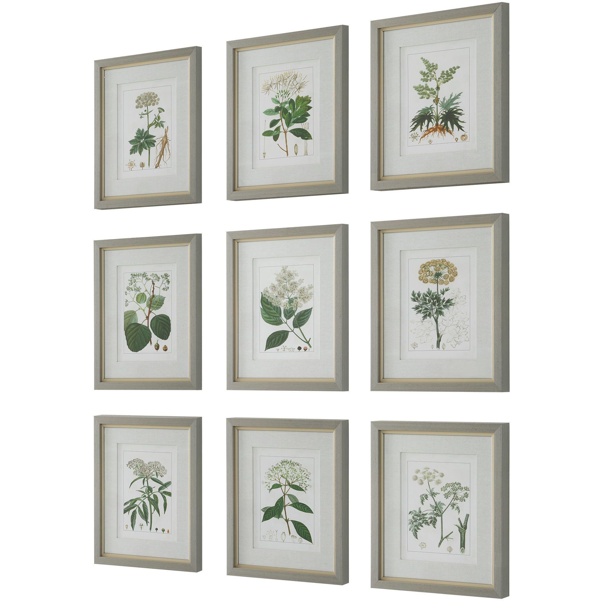 Antique 20 X 17 inch Framed Prints, Set of 9