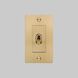 1G Toggle 120-277 Brass Light Switch