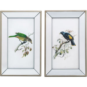 Bird Mirror Frame Print Multi Wall Art, Set of 2