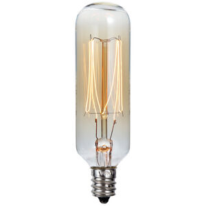 Edison Incandescent T8 E12 40 watt 2040K Bulb