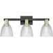 Arcadia Castile 3 Light 25 inch Black Antique Brass Bath Vanity Light Wall Light in Clear