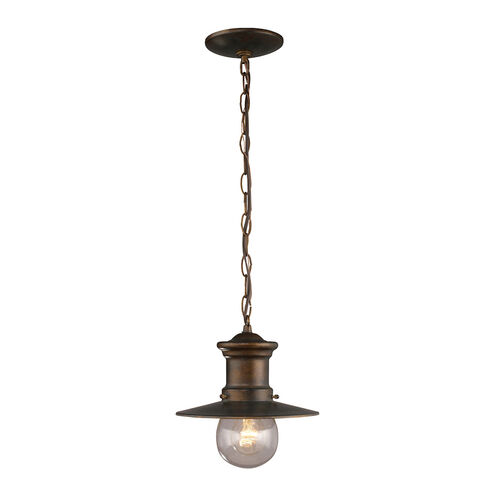 Bryn 11 inch 60.00 watt Hazelnut Bronze Outdoor Pendant