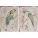 Parrot on a Branch Multicolor Wall Art