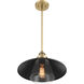 Segan 1 Light 15 inch Coal & Soft Brass (Painted) Mini Pendant Ceiling Light, Outdoor