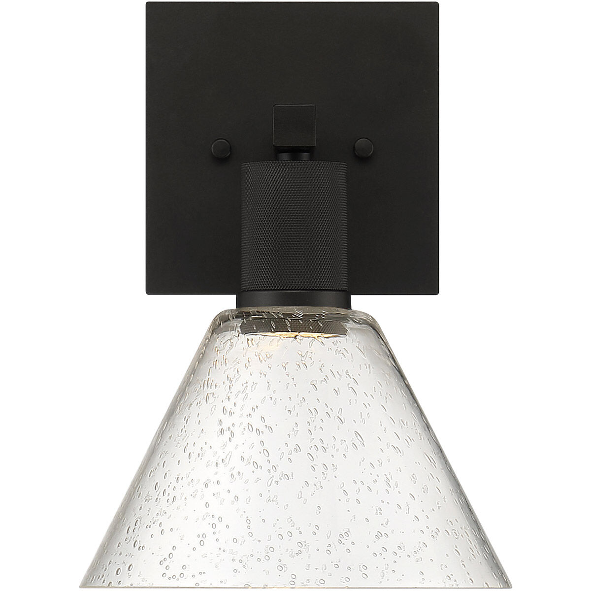 Port Nine Wall Sconce Wall Light in Matte Black, Seeded