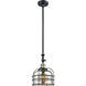 Franklin Restoration Bell Cage 1 Light 9 inch Black Antique Brass Mini Pendant Ceiling Light in Incandescent, Silver Plated Mercury, Franklin Restoration