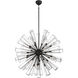 Dendelio 29 Light 40 inch Black Chandelier Ceiling Light