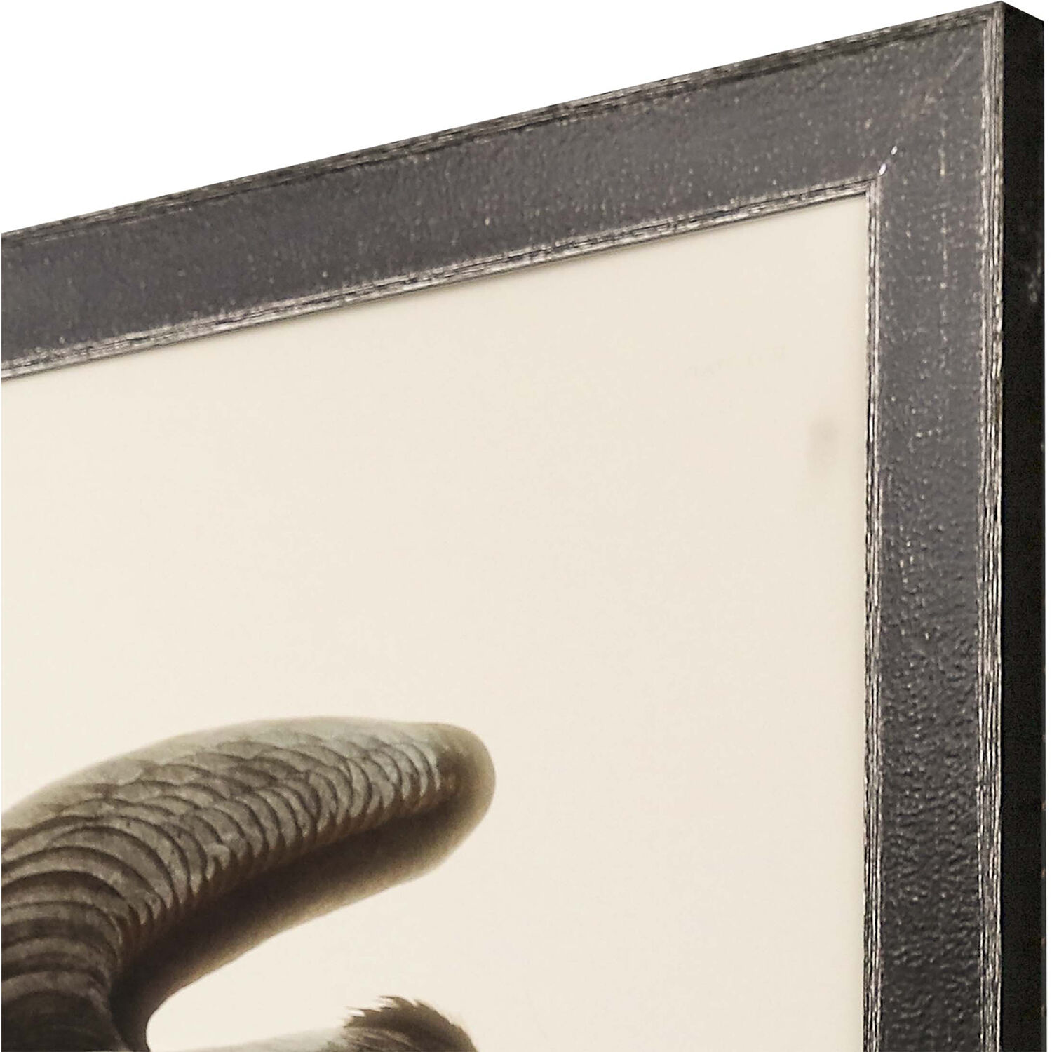 Animals Black and Green and Beige and Brown Framed Art