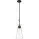 Lakewood 1 Light 8 inch Matte Black Pendant Ceiling Light, Essentials