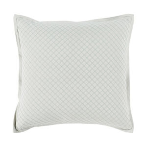 Hamden 20 X 20 inch Mint Throw Pillow
