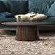 Madhy 47.25 X 23.5 inch Brown Coffee Table