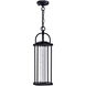 Greenwood LED 6 inch Black Outdoor Hanging Light