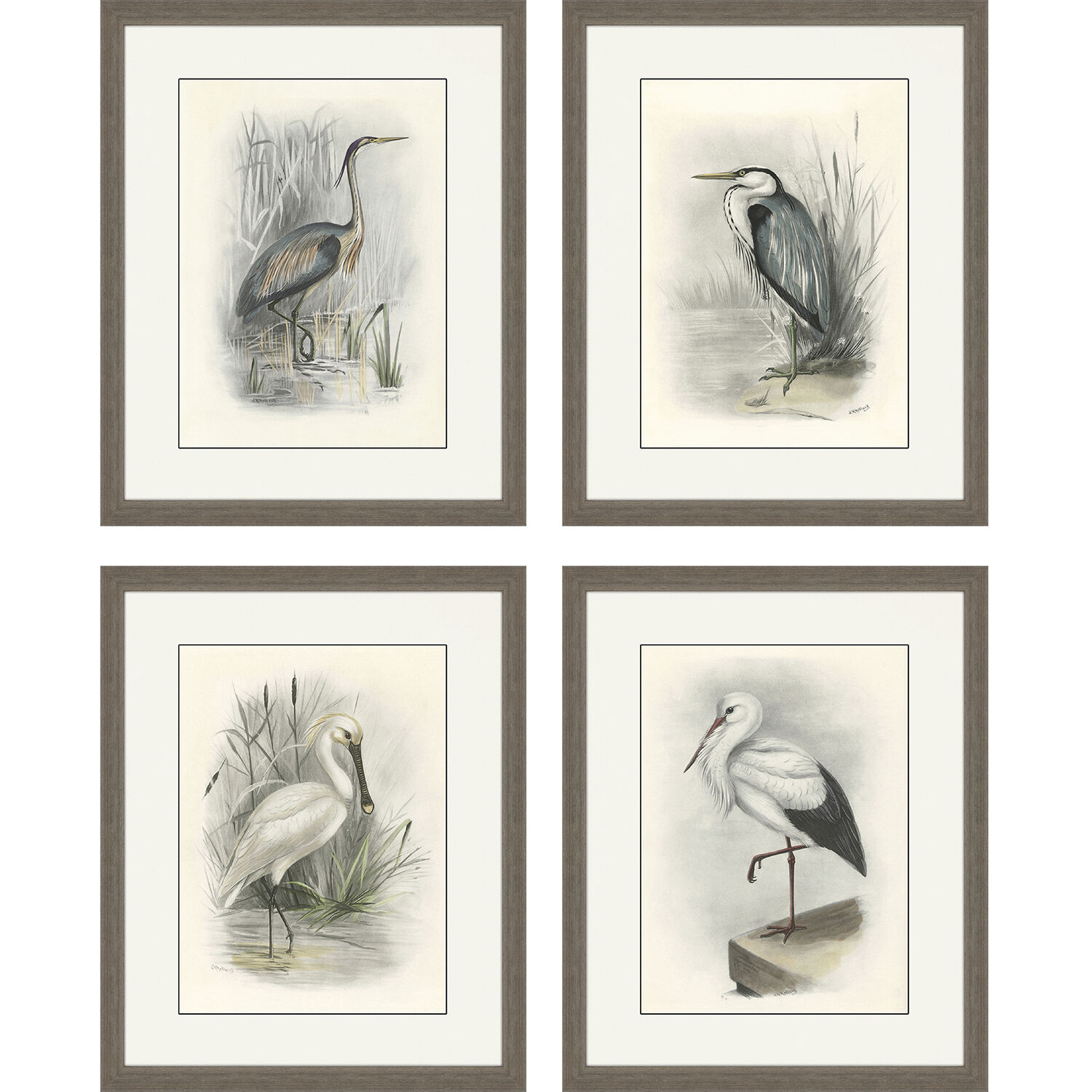 Animals Gray and Beige and Neutral and White Framed Art