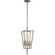 Wings 4 Light 12 inch Black and Satin Brass Multi-Light Pendant Ceiling Light
