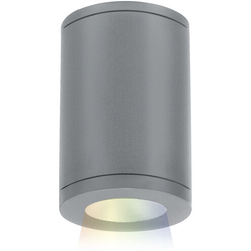 Tube Arch LED 4.88 inch Graphite Outdoor Flush in Narrow, 90, Color Changing