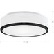 Charlie 2 Light 11.5 inch Black Flush Mount Ceiling Light