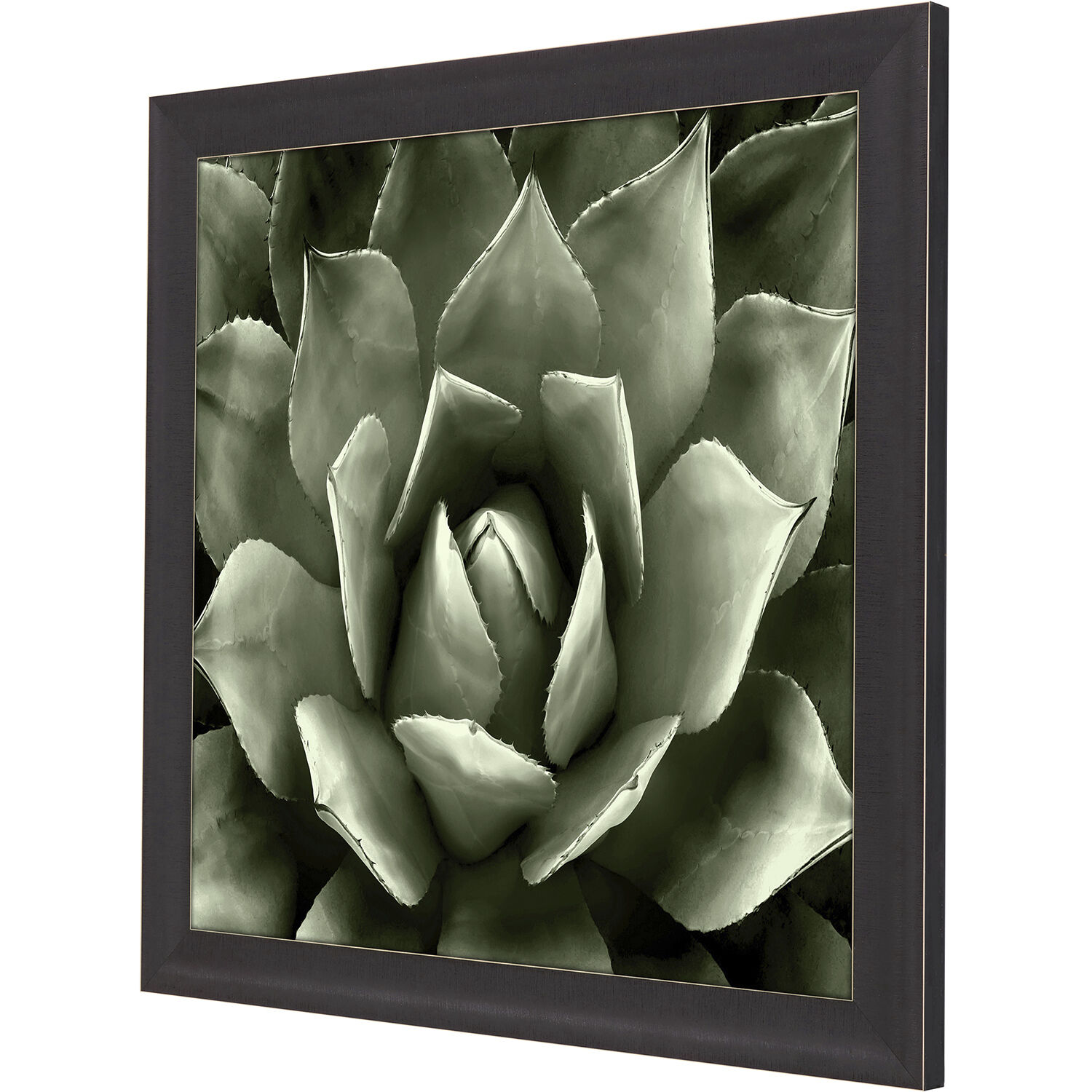 Green Succulent Green and Black and Neutral Framed Art