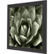 Green Succulent Green and Black and Neutral Framed Art