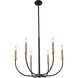 Haylie 6 Light 26 inch Matte Black and Olde Brass Chandelier Ceiling Light