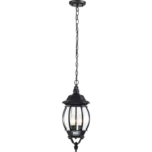 Central Park 3 Light 7 inch Textured Black Outdoor Hanging Lantern