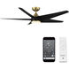Viper 60 inch Soft Brass Matte Black with Matte Black Blades Downrod Ceiling Fans, Smart Fan