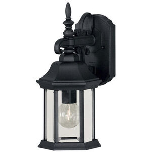 Transitional 1 Light 14.25 inch Black Outdoor Wall Lantern